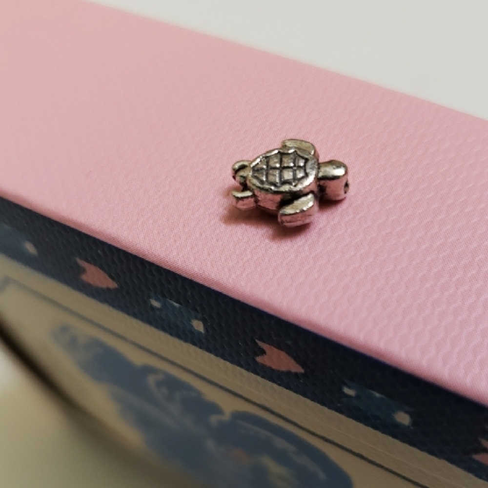 Turtle🐢charm 3/8 inch Silver